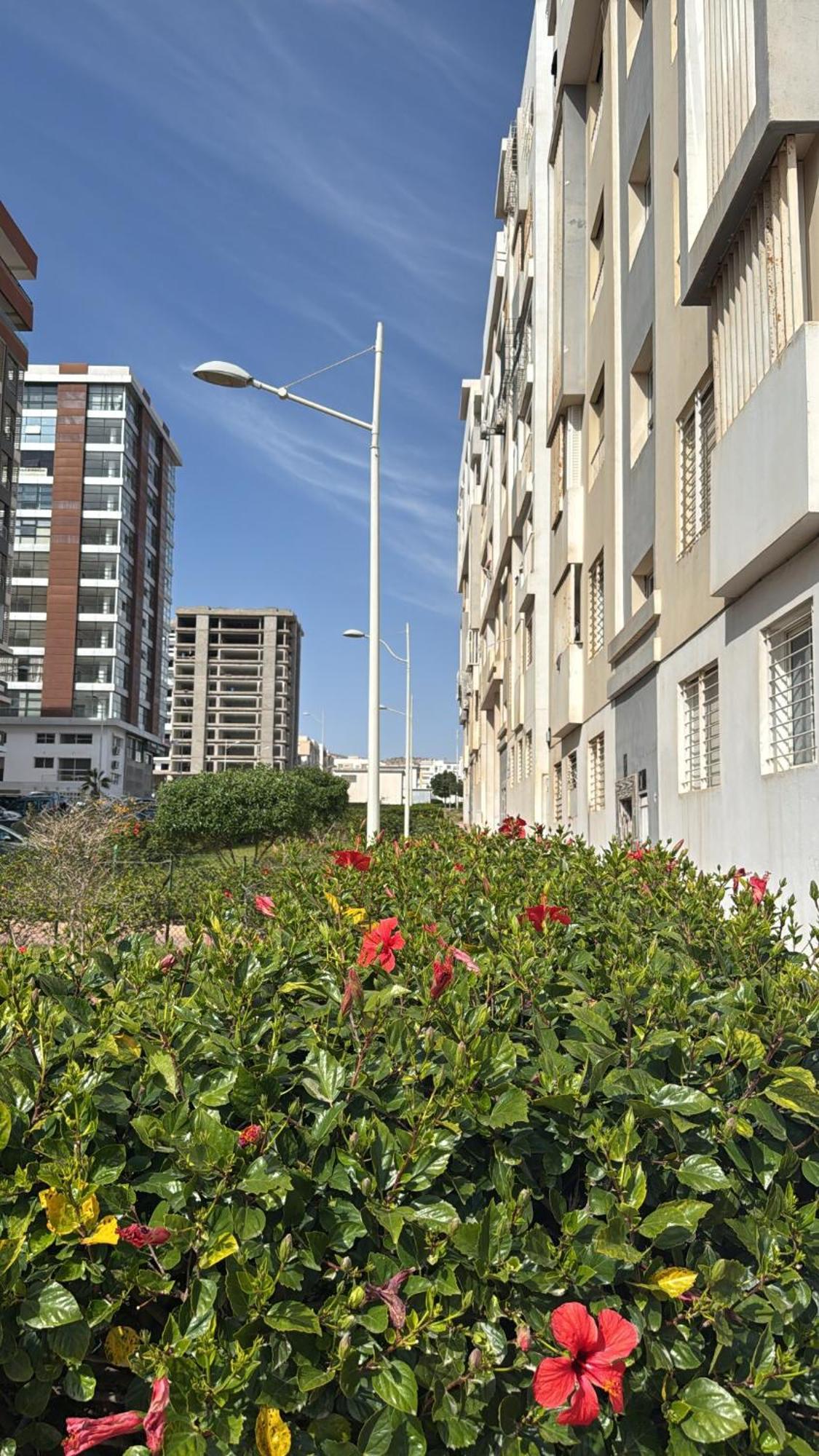 Hay Mohammadi Agadir